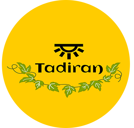 Professional LED Lamp Solution – Tatalux