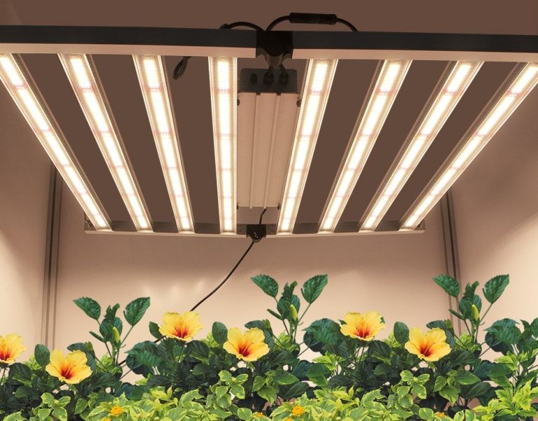 How Many Hours a Day Should LED Grow Lights Be On?