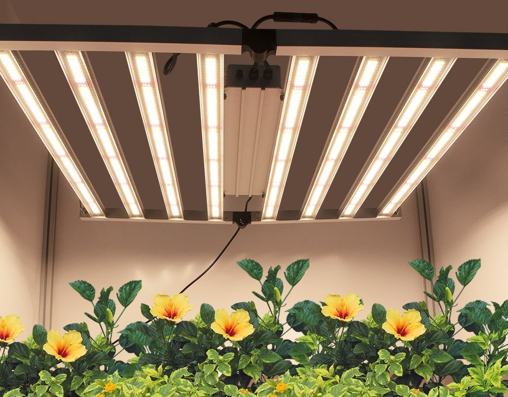How Many Hours a Day Should LED Grow Lights Be On?
