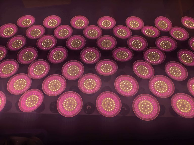 commercial‑led‑grow‑light‑array