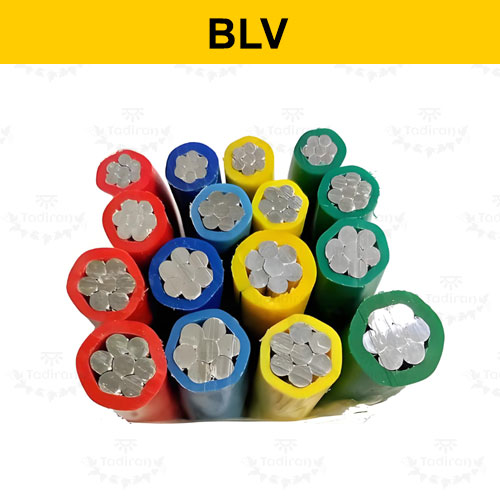 Plant Grow light Cable BLV