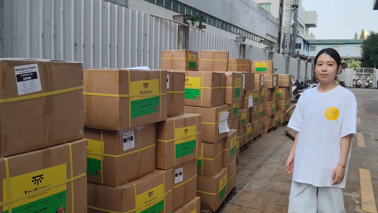 Ensuring On-Time, Safe Delivery for Global Agricultural Lighting Projects